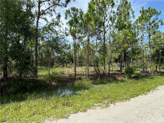 27172 Seeger Dr, Punta Gorda FL, 33955 land for sale