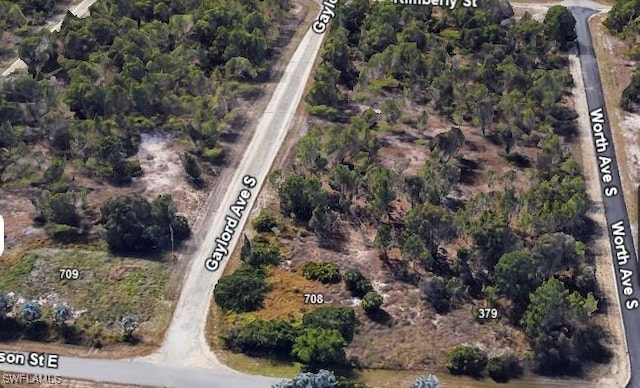 Listing photo 3 for 712 Gaylord Ave S, Lehigh Acres FL 33974