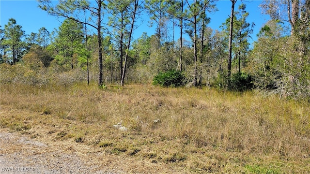 712 Gaylord Ave S, Lehigh Acres FL, 33974 land for sale