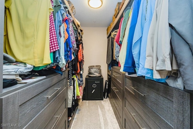 spacious closet with light colored carpet