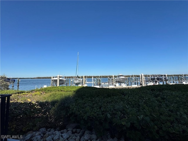 water view with a dock