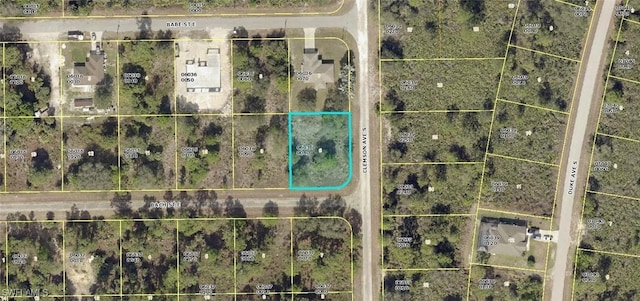 1027 Bach St E, Lehigh Acres FL, 33974 land for sale