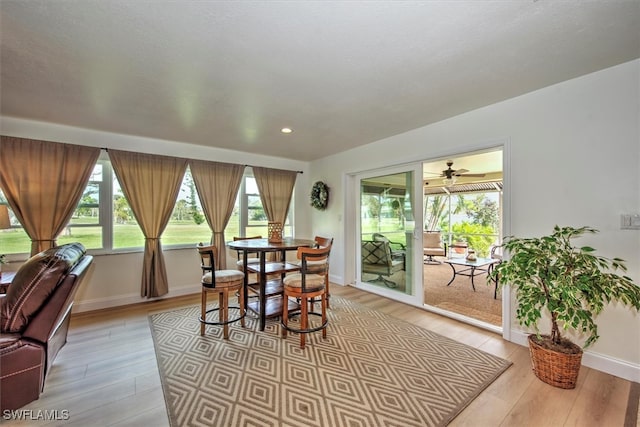 dining space featuring plenty of natural light and light wood-type flooring