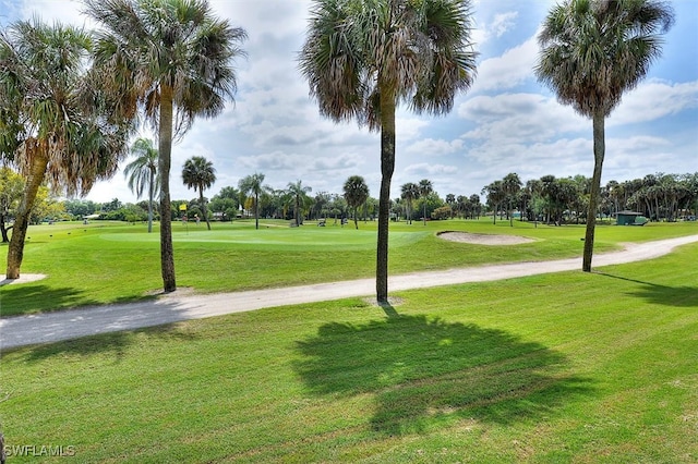 view of property's community with a yard