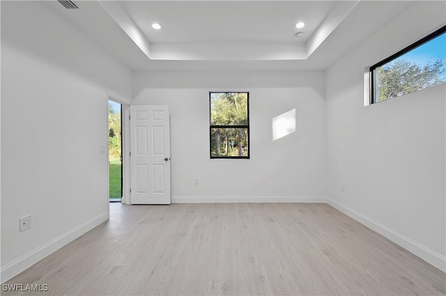 spare room featuring plenty of natural light, a tray ceiling, and light hardwood / wood-style flooring