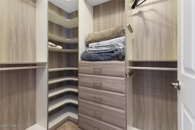 view of spacious closet