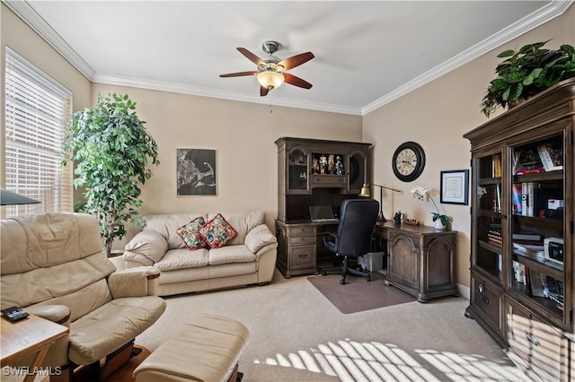 carpeted office with crown molding and ceiling fan