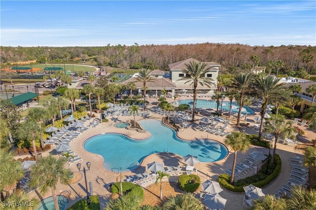 view of pool featuring a patio area