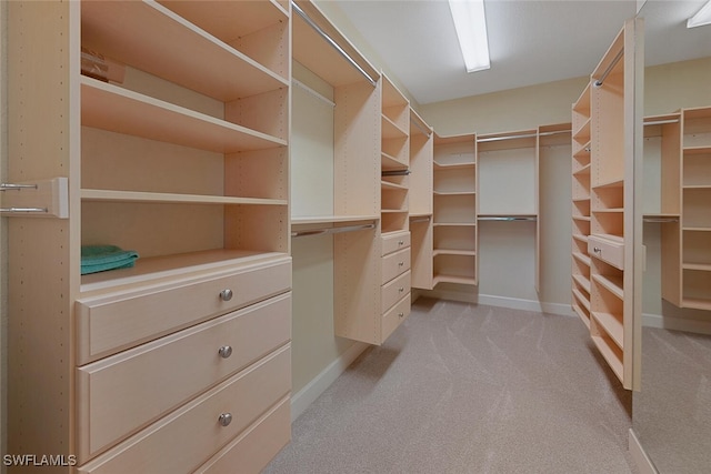 spacious closet with light colored carpet