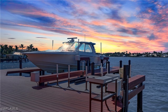 dock area with a water view