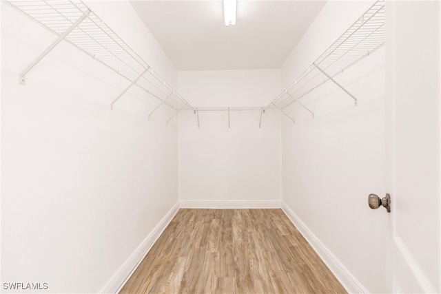 walk in closet with wood-type flooring