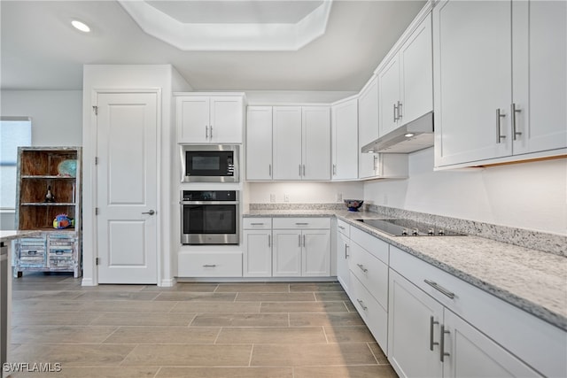 kitchen with a raised ceiling, light stone counters, white cabinetry, and stainless steel appliances