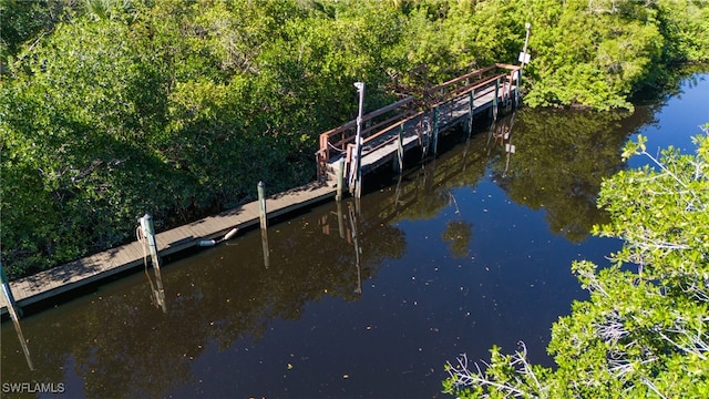 dock area featuring a water view