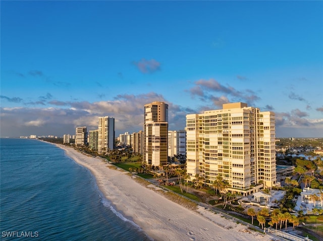 exterior space with a view of the beach