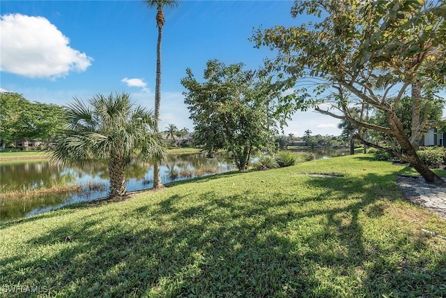 view of yard with a water view