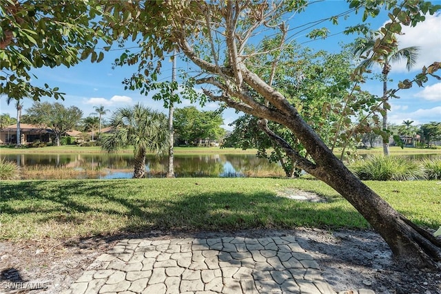 view of yard featuring a water view