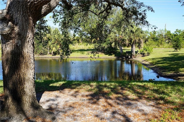 view of water feature