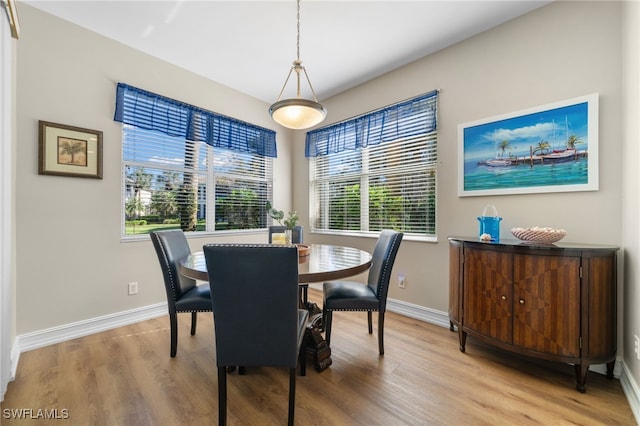 dining space featuring baseboards, a healthy amount of sunlight, and wood finished floors