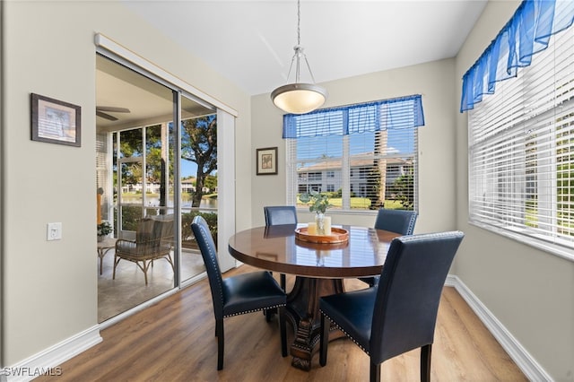 dining space featuring wood finished floors, a healthy amount of sunlight, and baseboards