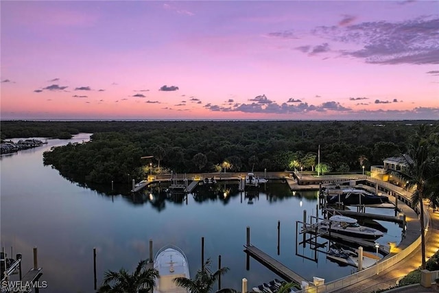 view of water feature featuring a boat dock