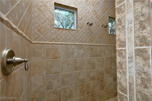 bathroom with a tile shower and plenty of natural light