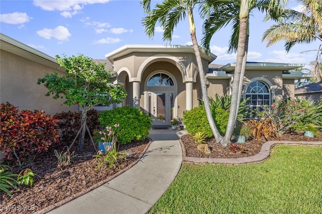 entrance to property featuring a yard