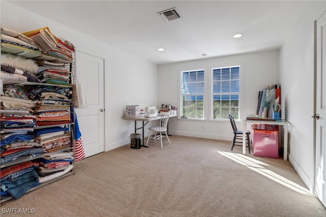 interior space with light carpet