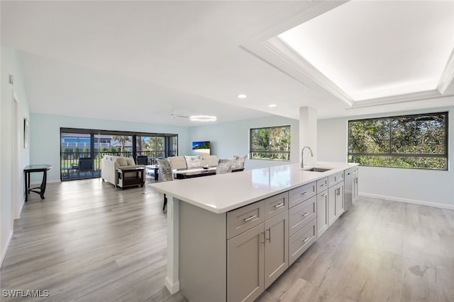 kitchen with gray cabinetry, a center island with sink, sink, a tray ceiling, and light hardwood / wood-style floors