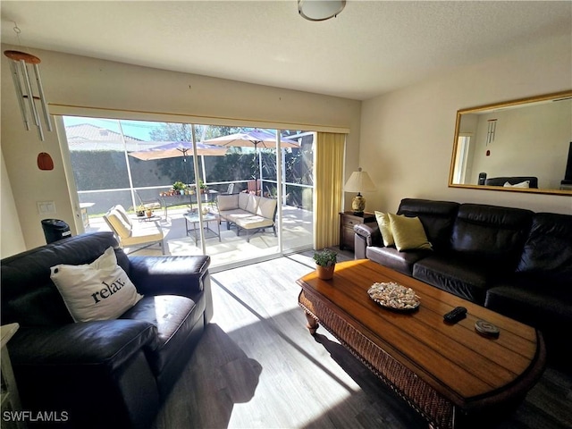 living room featuring hardwood / wood-style floors and a mountain view