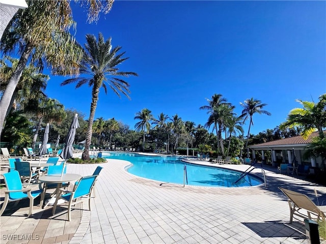 view of swimming pool with a patio