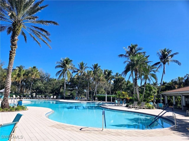 view of pool with a patio