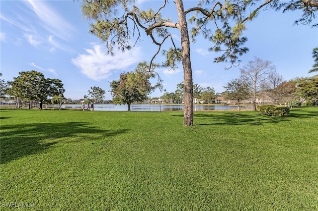 view of yard featuring a water view