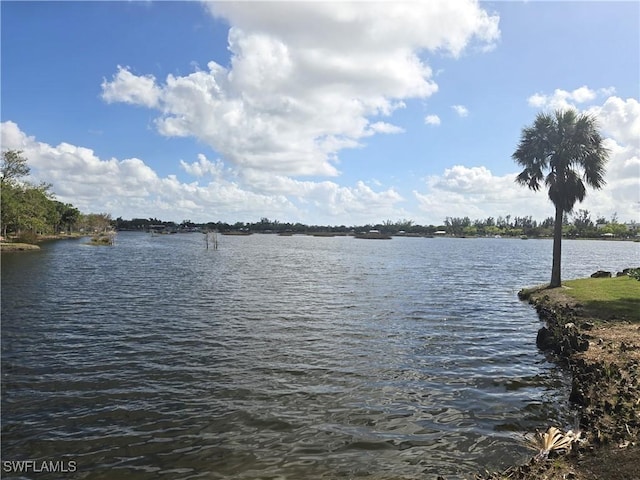 property view of water