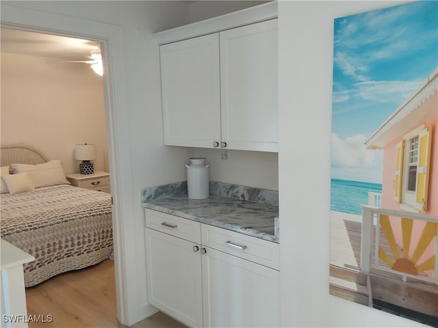 bedroom with a closet, light hardwood / wood-style flooring, and a water view