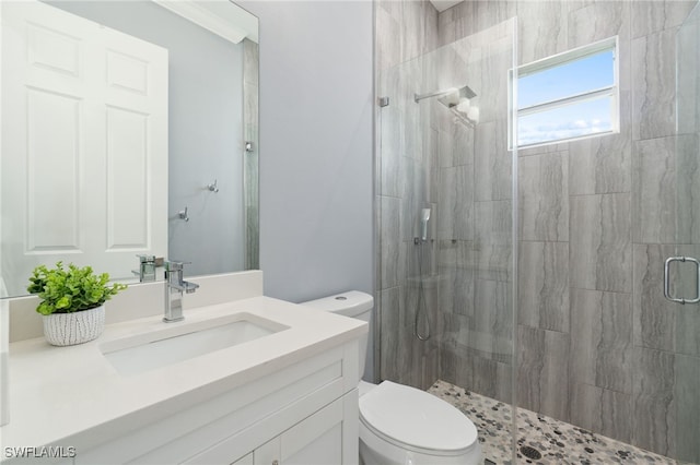 bathroom with toilet, a shower with shower door, and vanity