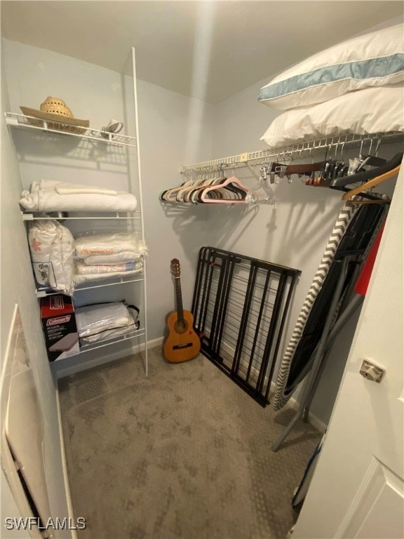 walk in closet featuring carpet flooring