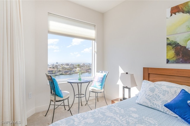 carpeted bedroom with a water view