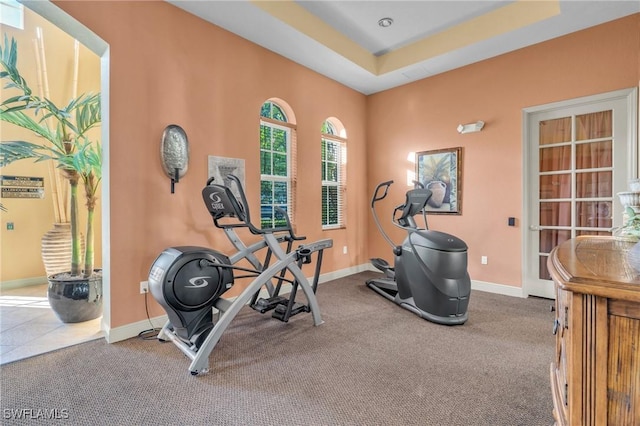 exercise room with a raised ceiling and carpet floors