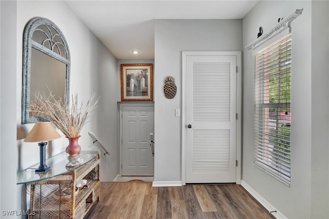 foyer with hardwood / wood-style flooring