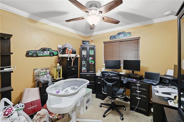 carpeted home office featuring crown molding and ceiling fan