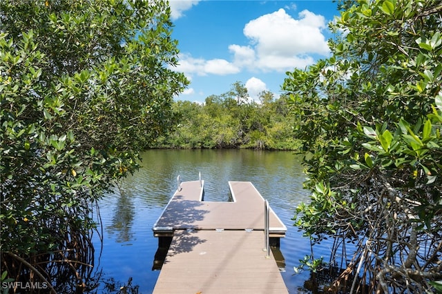 dock area featuring a water view