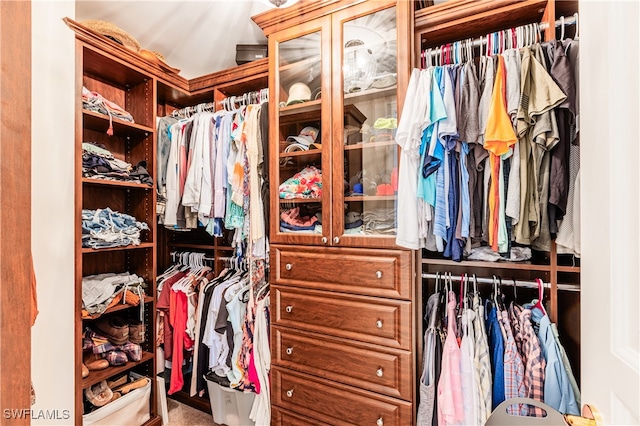 spacious closet featuring carpet