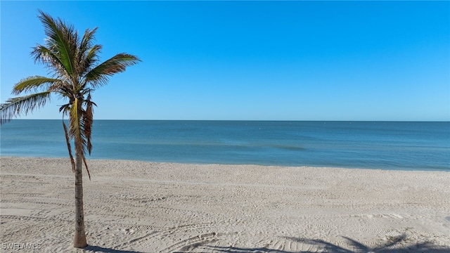 view of water feature featuring a view of the beach