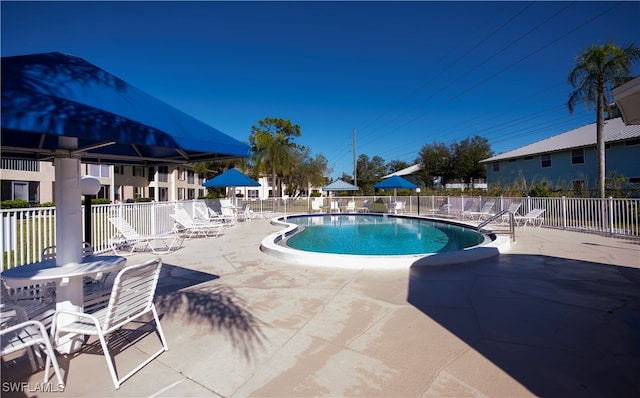 view of pool featuring a patio