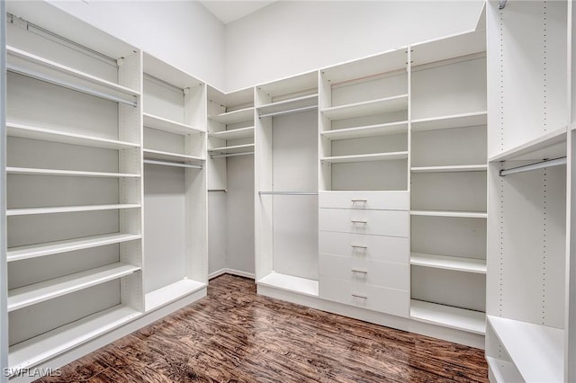 spacious closet with dark hardwood / wood-style flooring