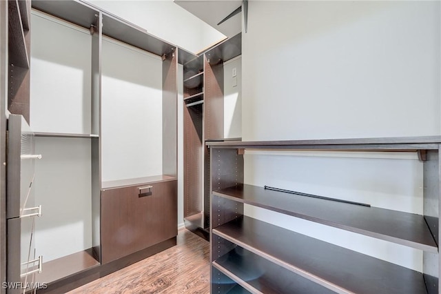 walk in closet featuring dark hardwood / wood-style floors