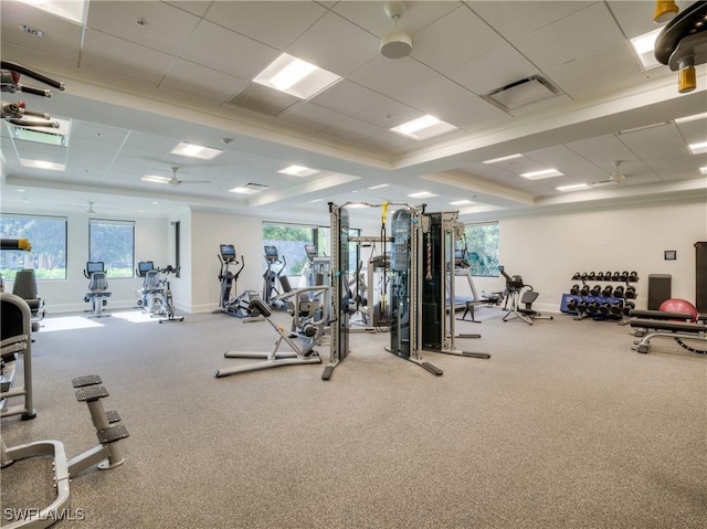 exercise room with ceiling fan, carpet floors, and a wealth of natural light