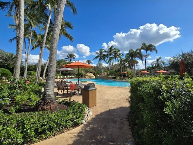 view of pool with a patio