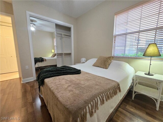 bedroom featuring dark hardwood / wood-style flooring and a closet