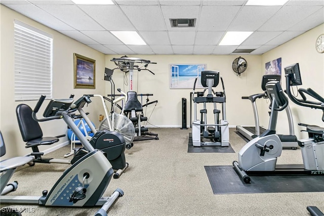 exercise room featuring a paneled ceiling and carpet floors